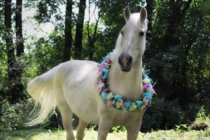 От рыцарских турниров до джазовых концертов. 20 фестивалей лета 2023 в Беларуси Friendship Session