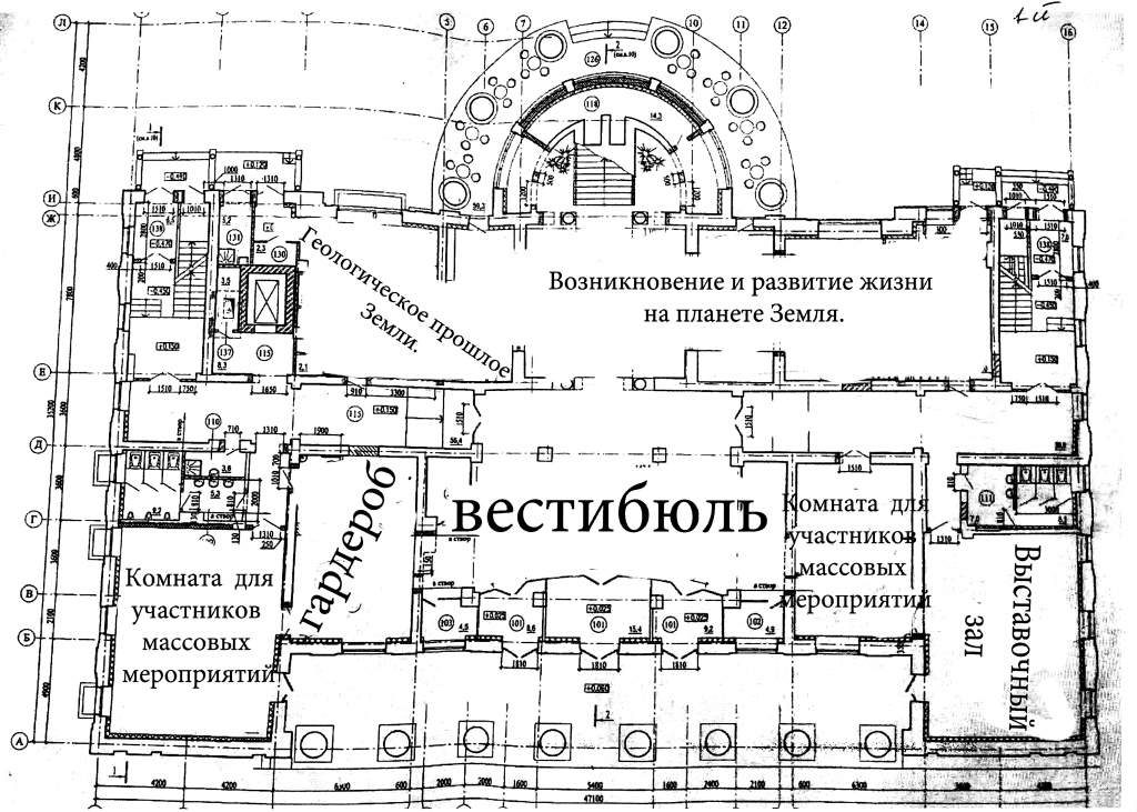 Глядзіце, як будзе выглядаць Музей прыроды ў былым ДК тэкстыльшчыкаў (пакуль толькі на схеме)