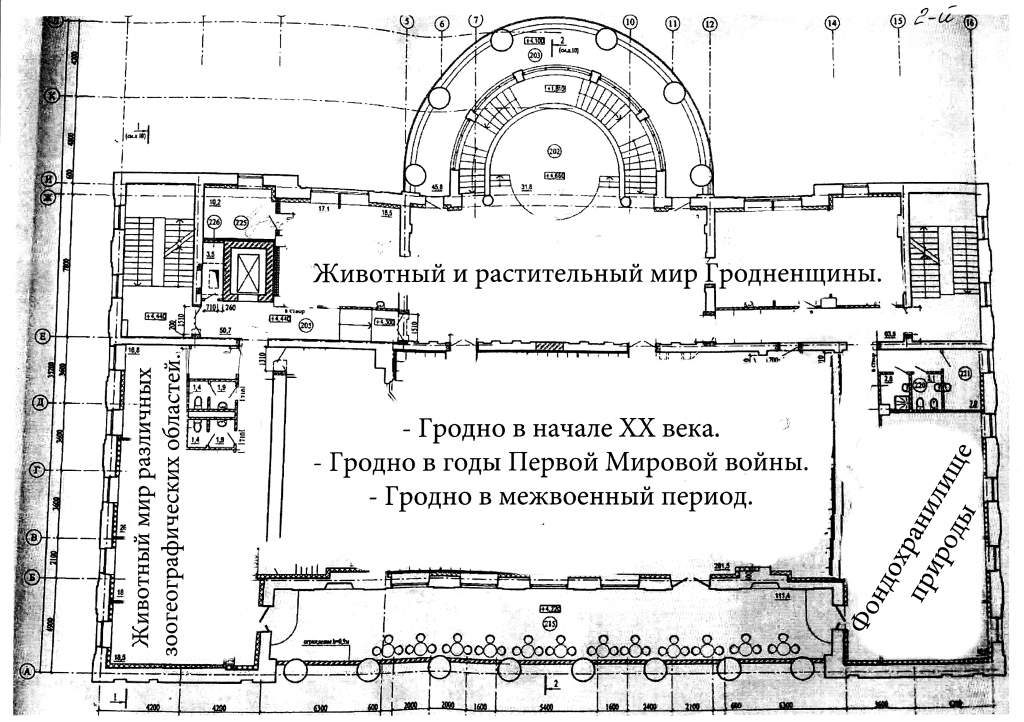Глядзіце, як будзе выглядаць Музей прыроды ў былым ДК тэкстыльшчыкаў (пакуль толькі на схеме)
