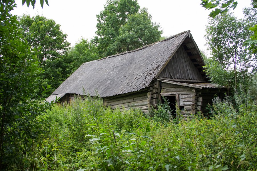 «Дороги нет, магазин закрылся, но в город не поеду». Как живут последние обитатели вымирающих деревень под Гродно
