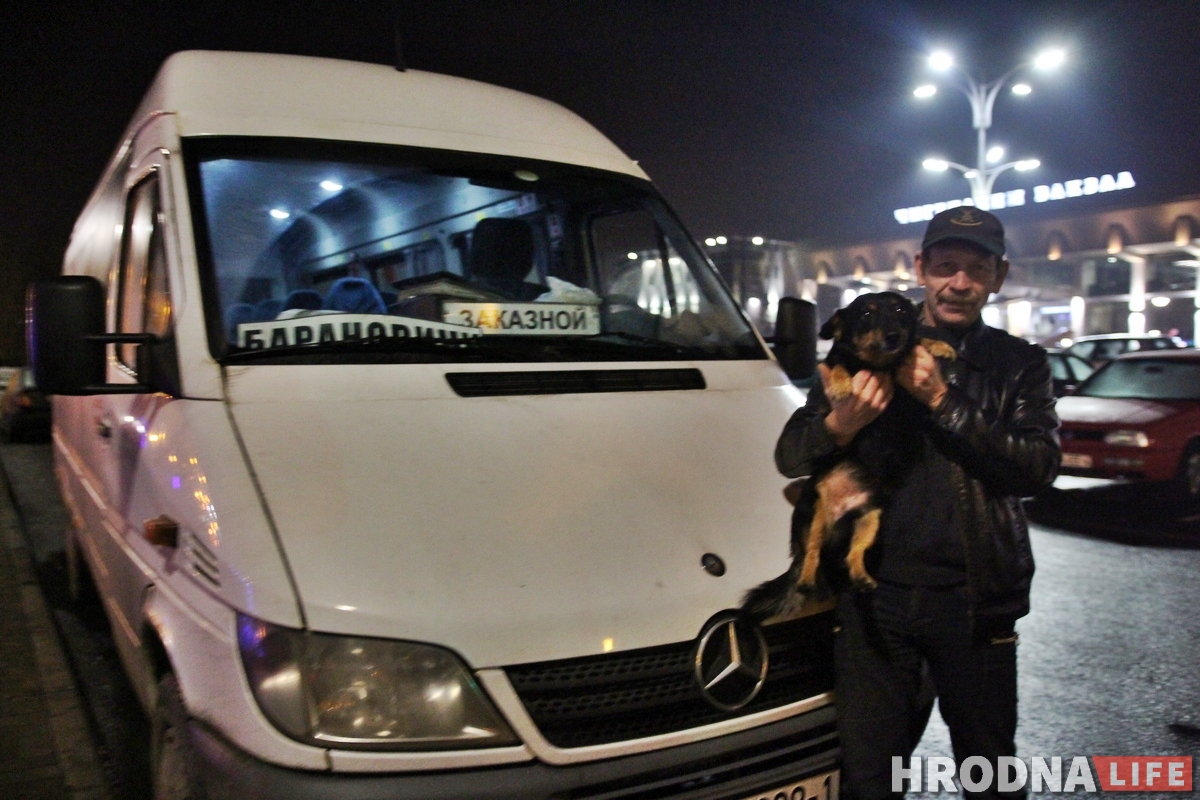 Снимает стресс и греет сиденье: как собака Мультик возит людей из Гродно в Барановичи