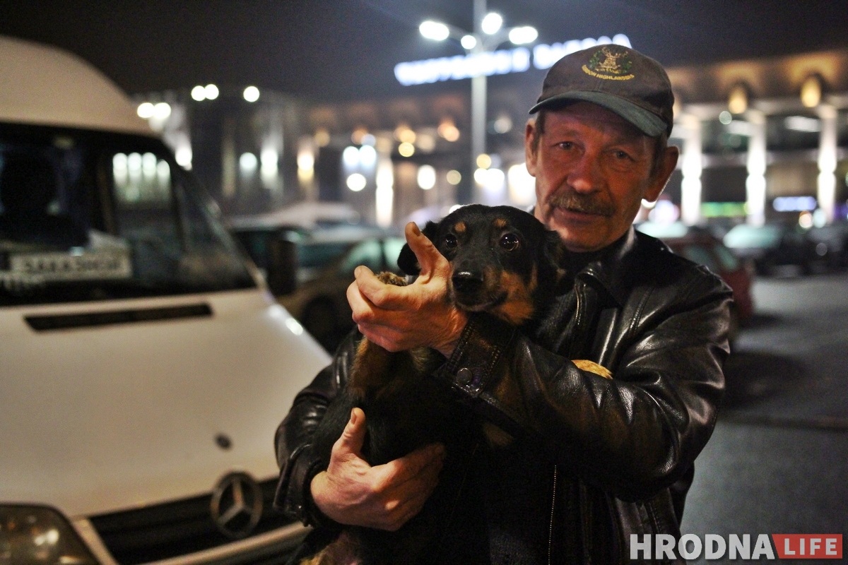 Снимает стресс и греет сиденье: как собака Мультик возит людей из Гродно в Барановичи