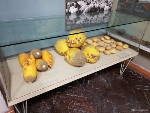 проблемы в музее