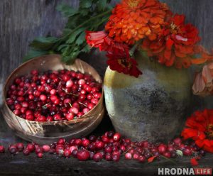 “Вылизанной гламурности здесь нет”. Дачные натюрморты Натальи Дорош помогут справиться с зимней депрессией