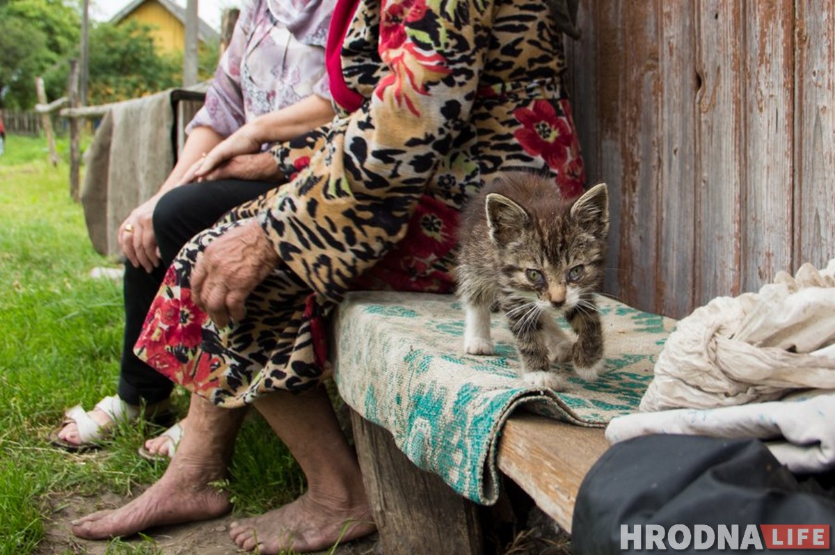 «Дороги нет, магазин закрылся, но в город не поеду». Как живут последние обитатели вымирающих деревень под Гродно