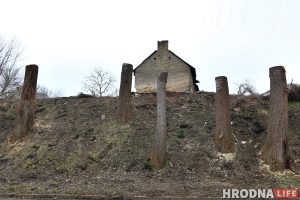 Участок с видом на замки: зачем на Левонабережной спилили старые тополя?