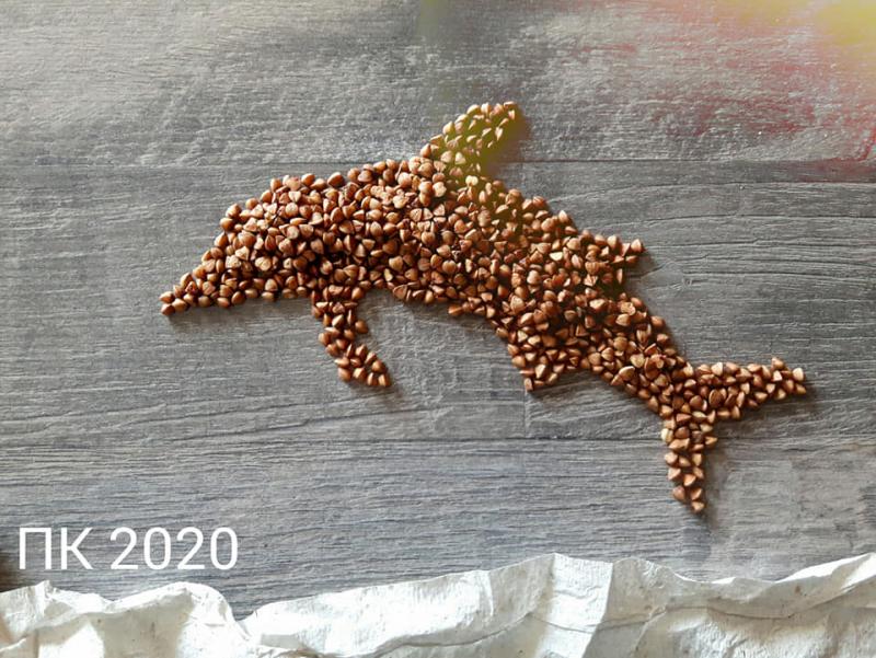 Когда дома есть гречка и туалетная бумага. Антикризисное искусство Фота: grodno.greenbelarus.info