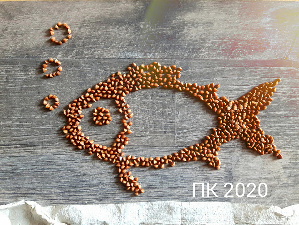 Когда дома есть гречка и туалетная бумага. Антикризисное искусство Фота: grodno.greenbelarus.info