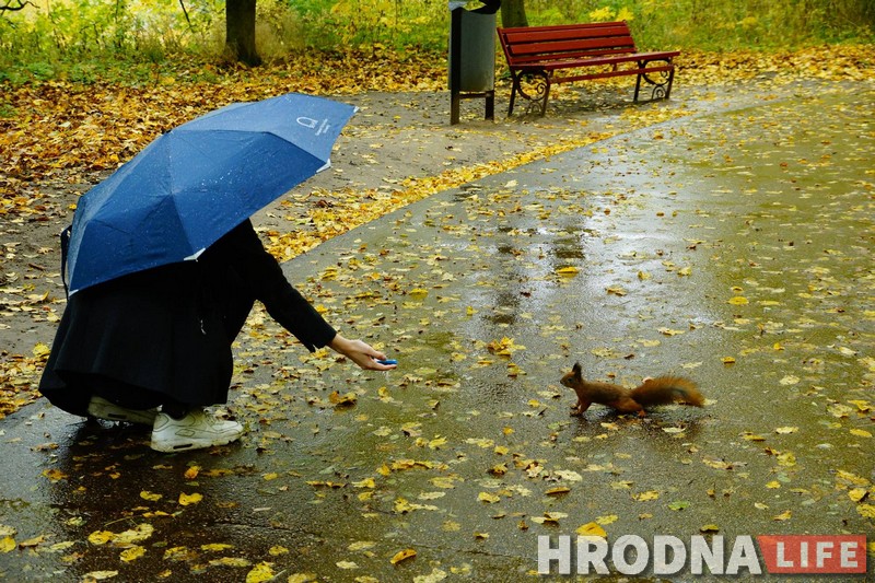 Зачем белкам забор, а колясочникам - пандусы. Коммунальники то слышат Юлию Коледу, то не слышат, а она все равно пишет