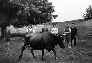 Женский роман времен пандемиии. Наталия Дорош пишет “фото-сериал” о том, что было и прошло Женский роман времен пандемиии. Наталия Дорош пишет “фото-сериал” о том, что было и прошло