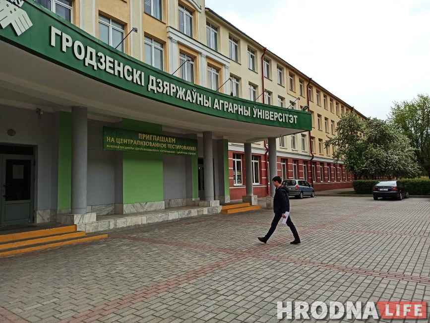 «Хутчэй заразішся ў краме, чым у лабараторыі». Як робяць тэсты на COVID-19 у Гродзенскім аграрным універсітэце