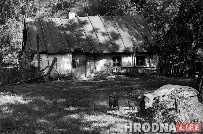 Жаночы раман часоў пандэміі. Серыя 5. Дзед Лешак і яго козы