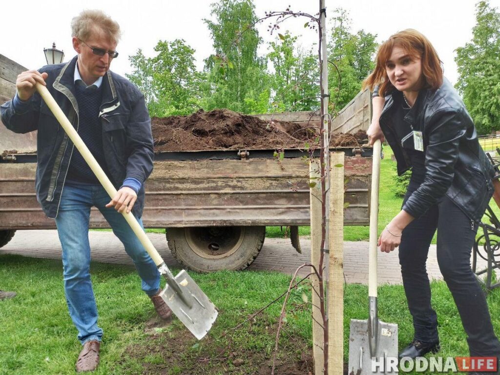 Журналисты посадили ивы, а главный архитектор – ягодную яблоню. В парке Жилибера появились новые деревья