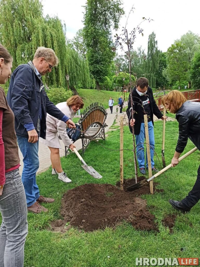Журналисты посадили ивы, а главный архитектор – ягодную яблоню. В парке Жилибера появились новые деревья