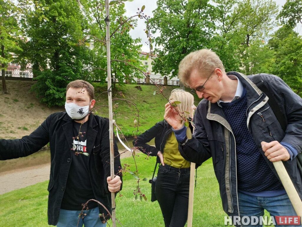 Журналисты посадили ивы, а главный архитектор – ягодную яблоню. В парке Жилибера появились новые деревья