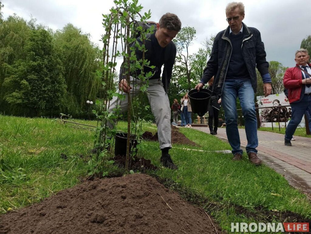 Журналисты посадили ивы, а главный архитектор – ягодную яблоню. В парке Жилибера появились новые деревья