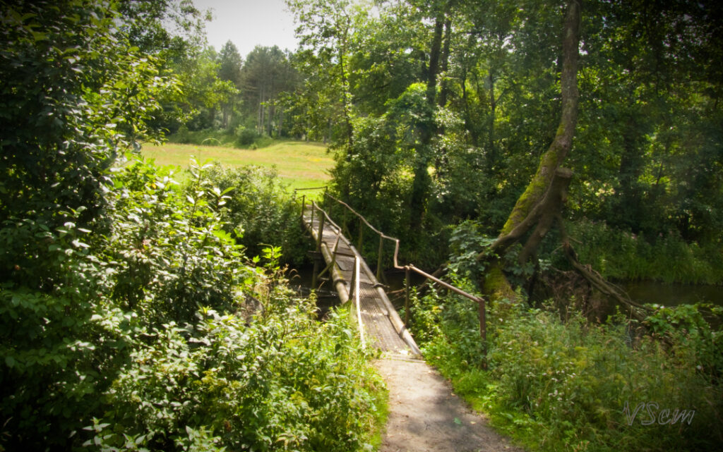 В Гродно обсудят жилую застройку в районе Лососянки