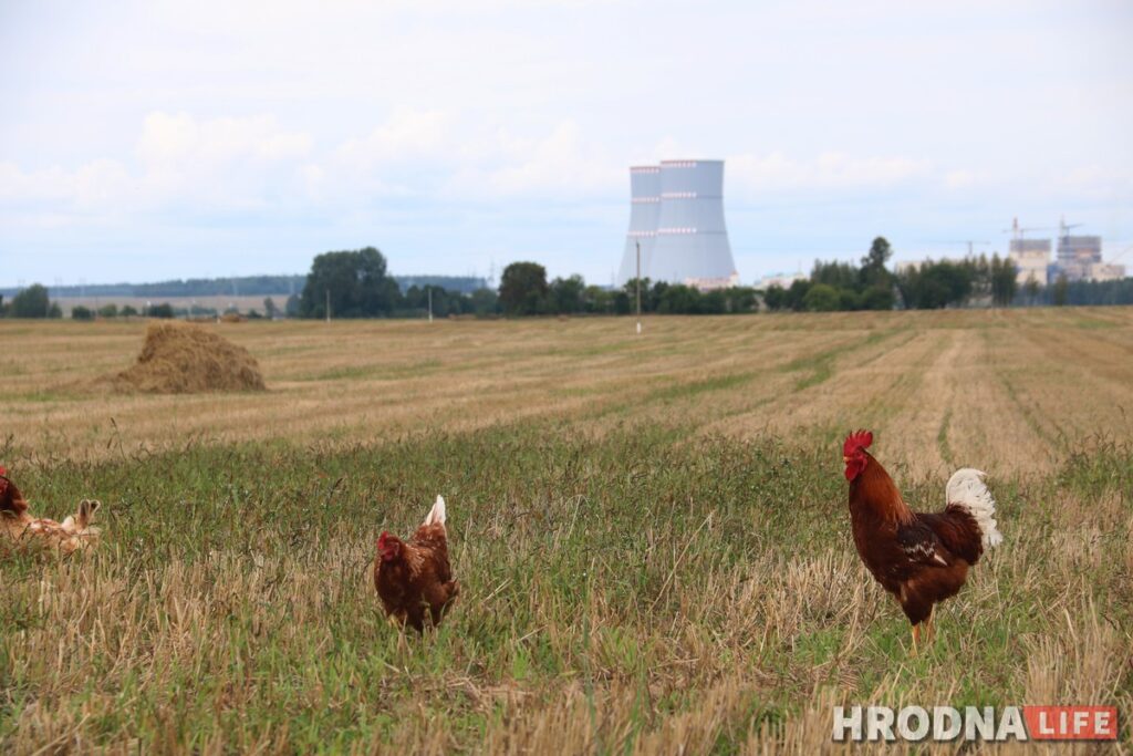 На первом энергоблоке БелАЭС началась загрузка ядерного топлива