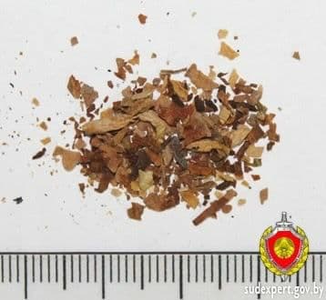 У гродзенца, які разбіў пяць аўтамабіляў ля Кастрычніцкага РАУСа, пры ператрусе знайшлі наркотык