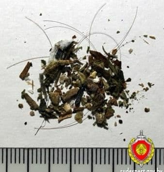 У гродзенца, які разбіў пяць аўтамабіляў ля Кастрычніцкага РАУСа, пры ператрусе знайшлі наркотык