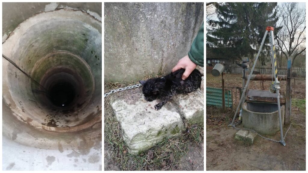 12 хороших новостей. Редакция Hrodna.life собрала позитивные тексты 2020 года