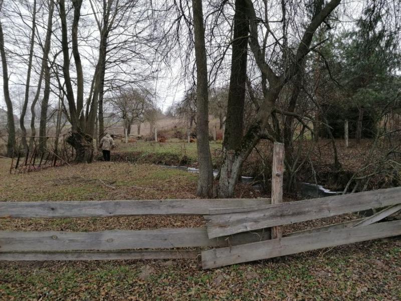 Гродзенскую фарэль хочуць ахоўваць у рамках міжнароднага праекта. Што цяпер з рэкамі пад Гроднам, дзе яе лавілі рукамі