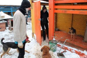 Гродненцы расчищают от снега домик для собак в Лапенках