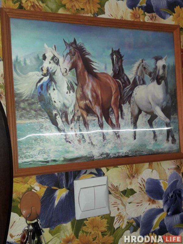 “Увидел лошадь и понял: хочу быть рядом всегда” Артур не слышит и не говорит, но смог найти общий язык с лошадьми и цветами