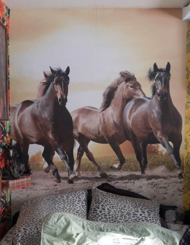 “Увидел лошадь и понял: хочу быть рядом всегда” Артур не слышит и не говорит, но смог найти общий язык с лошадьми и цветами