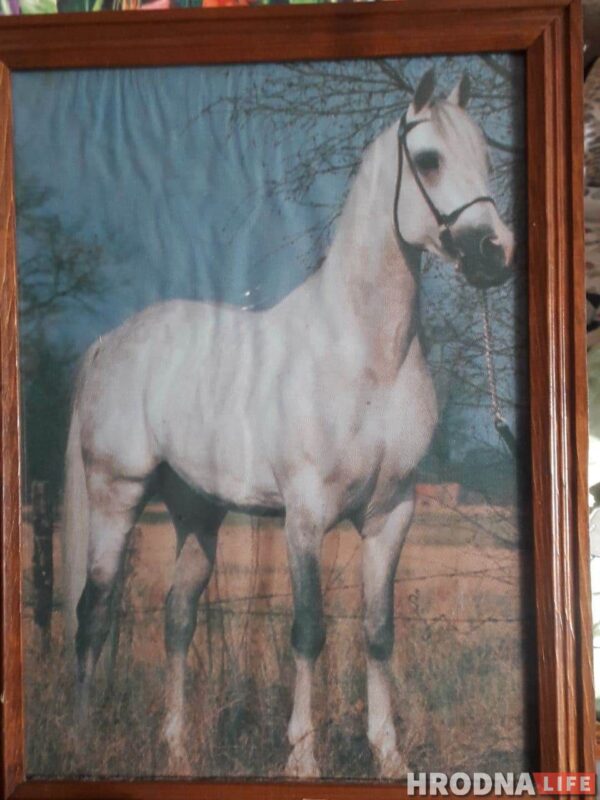 “Увидел лошадь и понял: хочу быть рядом всегда” Артур не слышит и не говорит, но смог найти общий язык с лошадьми и цветами