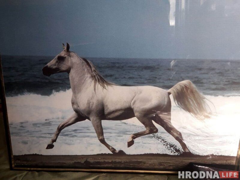 “Увидел лошадь и понял: хочу быть рядом всегда” Артур не слышит и не говорит, но смог найти общий язык с лошадьми и цветами