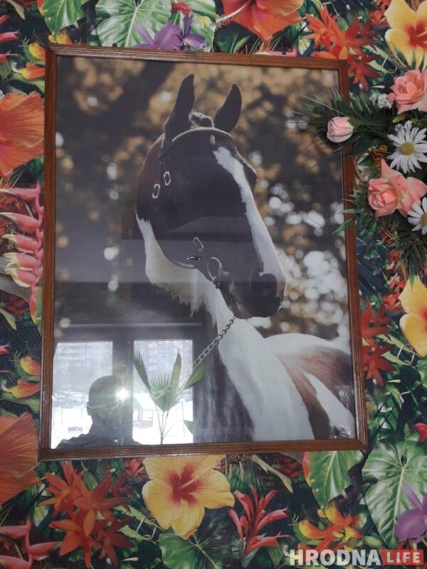 “Увидел лошадь и понял: хочу быть рядом всегда” Артур не слышит и не говорит, но смог найти общий язык с лошадьми и цветами