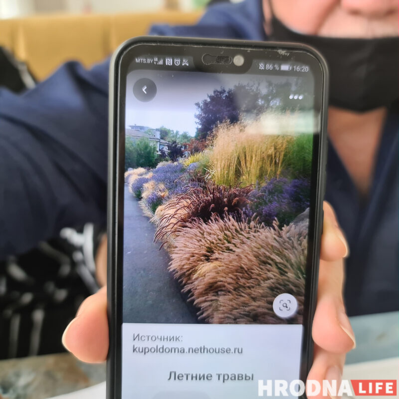 Аранжарэя, дыназаўры і амфітэатр. Што з'явіцца каля палаца Чацвярцінскіх у Гродне