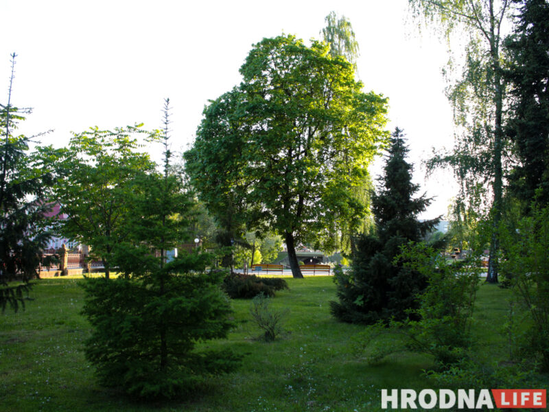 Аранжарэя, дыназаўры і амфітэатр. Што з'явіцца каля палаца Чацвярцінскіх у Гродне