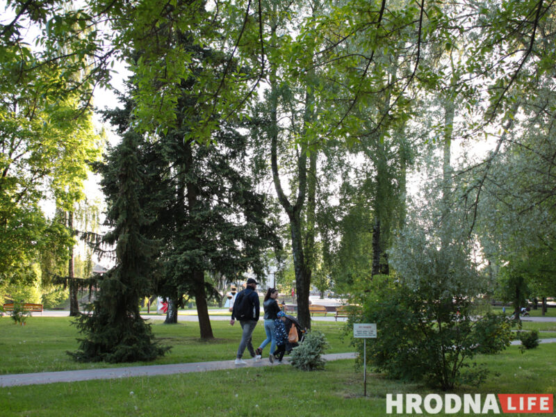 Аранжарэя, дыназаўры і амфітэатр. Што з'явіцца каля палаца Чацвярцінскіх у Гродне