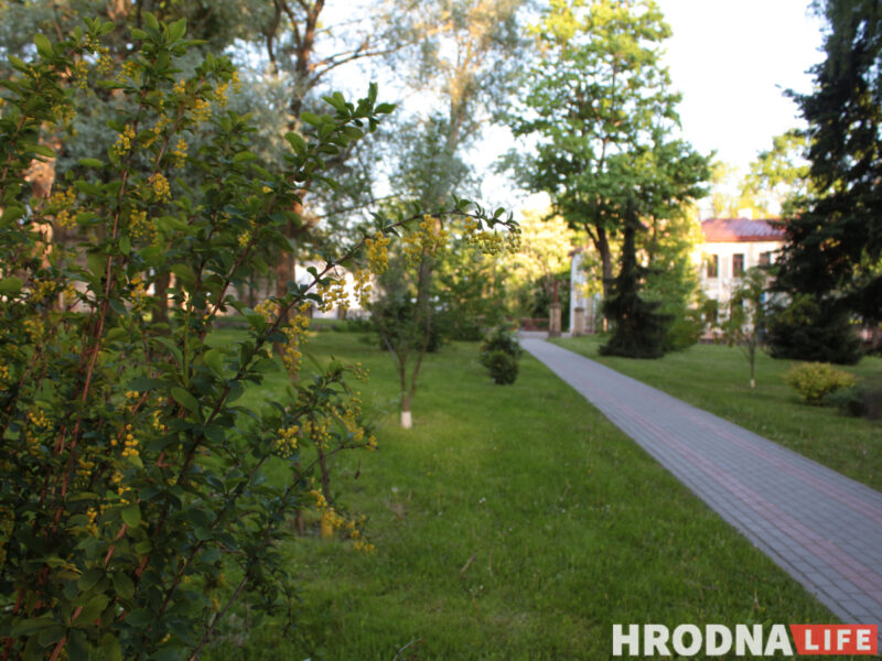 Аранжарэя, дыназаўры і амфітэатр. Што з'явіцца каля палаца Чацвярцінскіх у Гродне