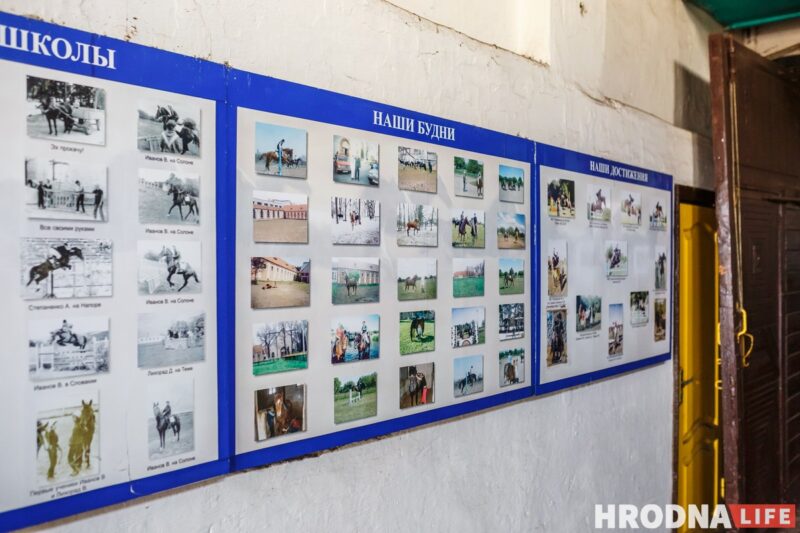 Бляск і галеча беларускай конегадоўлі. Коні прыносяць «золата», але на дах і вокны для іх грошай няма