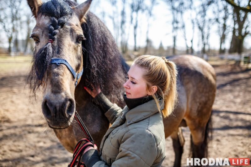 Бляск і галеча беларускай конегадоўлі. Коні прыносяць «золата», але на дах і вокны для іх грошай няма