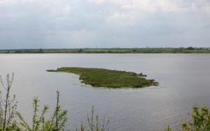 Почти 10 лет, а пляжей нет. На Гродненском море люди ждут инфраструктуру, а власти надеются на частников