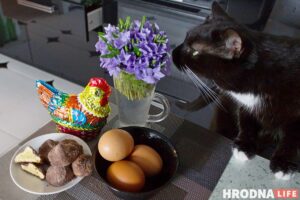 Пасха прошла, яйца остались: 3 рецепта блюд, в которых варёные яйца - главный продукт Пасха прошла, яйца остались: 3 рецепта блюд, в которых варёные яйца - главный продукт