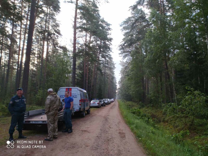 У Белавежскай пушчы зноў шукалі зніклых падлеткаў - там, дзе прапаў Максім Мархалюк