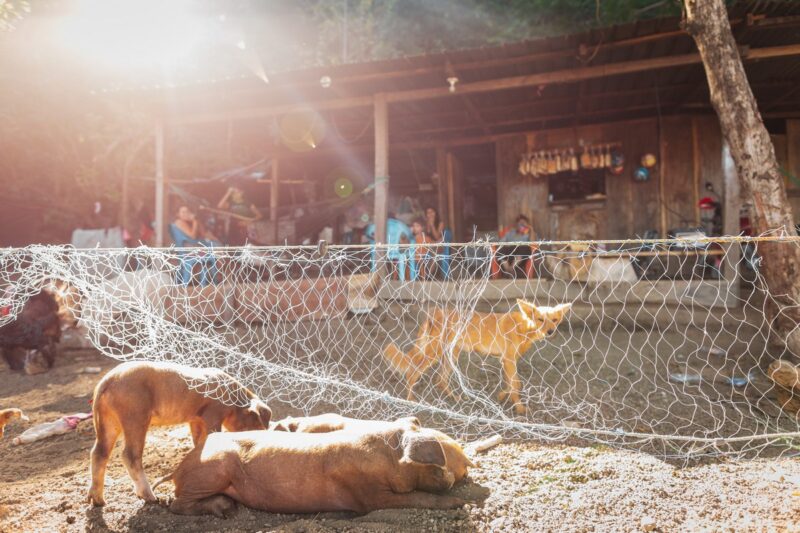 Падарожжа з сэнсам. Ёсць магчымасць паехаць у Гватэмалу валанцёрам у дабрачынным праекце