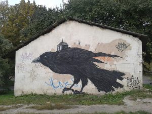 “Птица запомнит и будет мстить человеку”. В Гродно вороны нападают на прохожих: что можно сделать? “Птица запомнит и будет мстить человеку”. В Гродно вороны нападают на прохожих: что можно сделать?