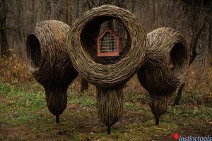 Реальная помощь, самообман или просто украшение? В лесопарке Пышки открыл “кафе” для птиц Реальная помощь, самообман или просто украшение? В лесопарке Пышки открыл “кафе” для птиц