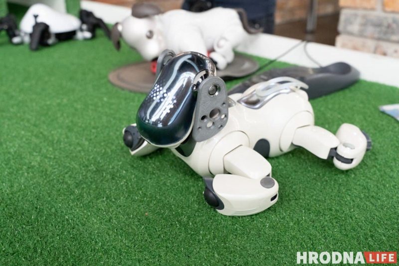 Семь роботов, которые облегчат жизнь. Выставка о том, что могут роботы, открылась в Гродно