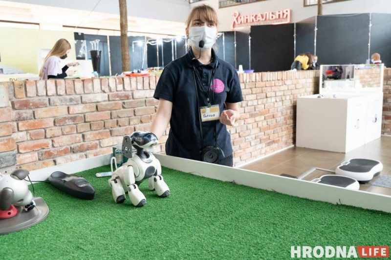 Семь роботов, которые облегчат жизнь. Выставка о том, что могут роботы, открылась в Гродно