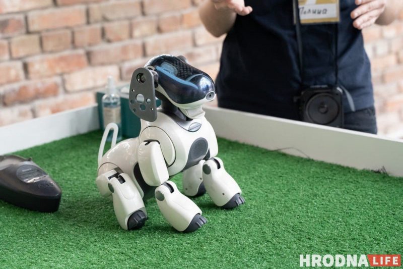 Семь роботов, которые облегчат жизнь. Выставка о том, что могут роботы, открылась в Гродно