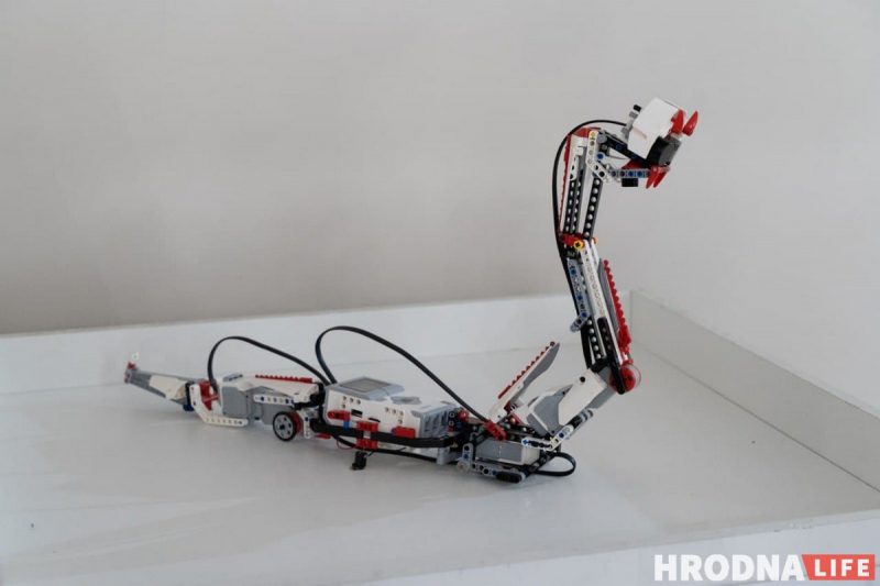 Семь роботов, которые облегчат жизнь. Выставка о том, что могут роботы, открылась в Гродно