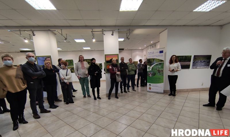 Ирина Сильванович больше не заведующая Гродненским выставочным залом. После выборов она высказывалась против насилия