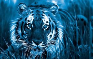 год тигра, прогноз астролога